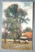 Amerikai képeslap - The Marsh Farm