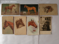 7 db. régi lovas képeslap 1910.