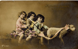 Képeslap: Bárányfogat 1912