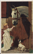 Régi antik képeslap levlap ló gyerek állat kutya
