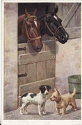 Régi antik képeslap levlap ló kutya állat