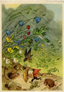 Nyári zápor, spanyol képeslap, 1958