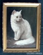 Mesterházy Dénes: Fehér macska