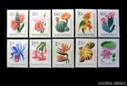 Botanikus kertek virágai  sorozat 1965