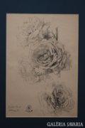 Dolányi Benczúr Ida bravúros rajza 1944-ből: Rózsák