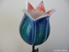 Sosem hervadó csodás tulipán 