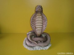 Ágaskodó kobra kígyó