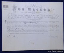 6908 Antik diploma 1922 NOS RECTOR