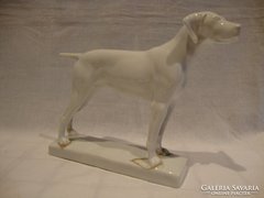 Antik Herendi porcelán vizsla kutya
