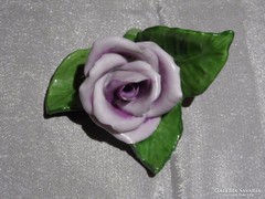 Levendula színű rózsa