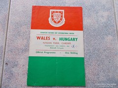Wales-Hungary, 1963. Program foci