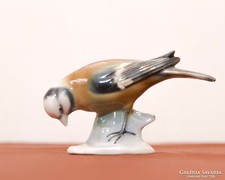 Porcelán cinege, kedves bájos madárka - Aukció!