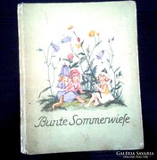 BUNTE SOMMERWIESE - NORA SCHOLLY