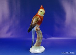 0H838 Régi nagyméretű porcelán papagáj talapzaton
