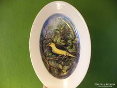 Wall plate with yellow thrush scene.