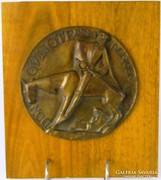 0J678 Zoltán Olcsai Kiss: Don Quixote Plaquette