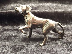 Ezüst miniatűr vizsla kutya