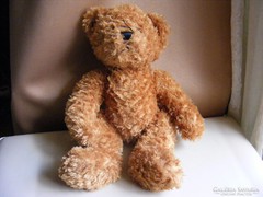 Teddy mackó maci - Channel Island Bear