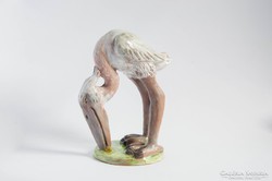 Izsépy pelikán gém kukacot evő madár