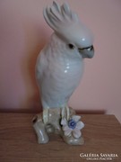 Porcelán kakadu madár figura