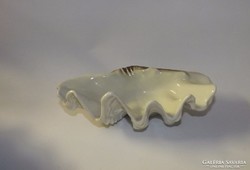 Hollóházi kagyló  porcelán