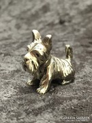 Ezüst miniatűr westie kutya