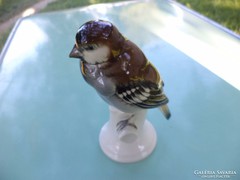 Porcelán madár (német)