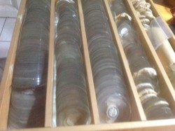 Antik. Kar -zsebóra üvegek gyüjteményemböl 