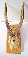 Ancient antlers, trophies, wooden feet