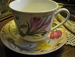 Angol csésze és tányér  Flora Botanica
