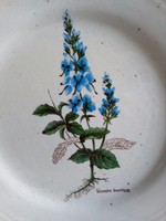 "Veronica Teocrium " virág mintával-antik Castellini olasz kerámia tál-24,8 cm