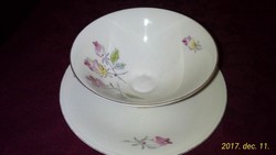 Hand-painted, fine porcelain teacup with plate, nearly 100 years old