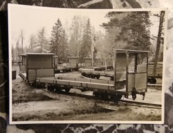 Erdei fa szállító vasút - fotó
