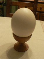 Strucc tojás extra méretű