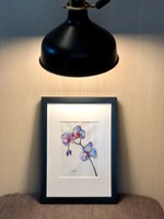 Modern orchidea akvarell D. Szabó