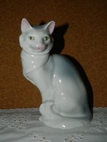 Ritkább festésű Drasche macska.