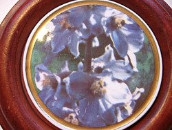 Fábián Rózsa VIZUALART porcelán,bőr kép