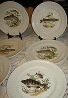 6 db  hal mintás tányér