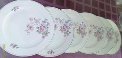 Antique porcelain flat plate set with tielsch-altwasser cherry blossom pattern