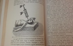 Antik orvosi könyv: Dr.Oláh Gyula: Az ember és az egészség. 1899!!!