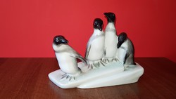 Ritka herendi pingvinek úszó jégtáblán