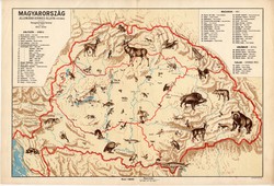 Magyarország állatföldrajzi térkép 1928, magyar nyelvű, 28 x 40 cm, állat, hal, madár, emlős