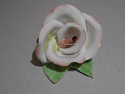 Aquincumi rózsa