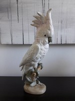 Royal dux porcelán kakadú papagáj madár