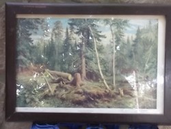 Siskin the great Russian painter with a taiga reproduction frame