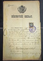 Antik kőzjegyzői okirat.Átadási szerződés.1885 7 írott oldal, merített papíron.
