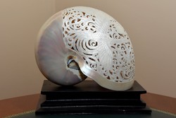 UTOLSÓ ÁR! ! Hatalams faragott Nautilus kagyló egyedi múalkotás szobor