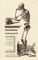 Az ember csontváza 3., anatómia, koponya, egyszín nyomat 1978, 28 x 44 cm, nagy méret, fakszimile
