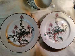 Villeroy & Bosch tányérok . Botanica sorozatból.