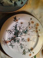 Villeroy & Bosch tányér. Botanica sorozatból.